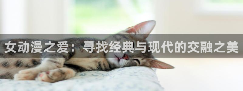 樱花动漫的网址：女动漫之爱：寻找经典与现代的交融之美