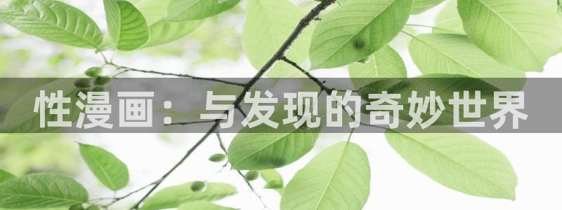 樱花动漫官在线