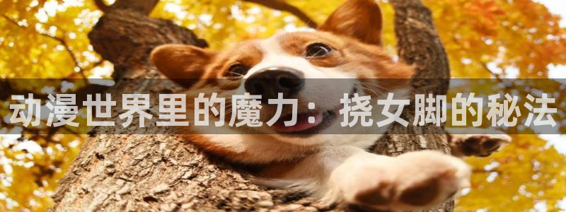 《我喜欢你》樱花动漫