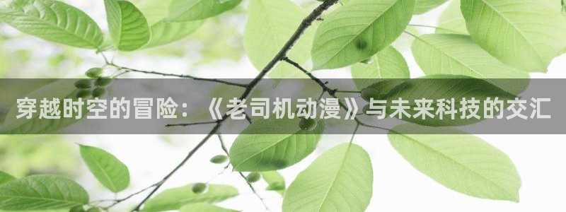 饿狼传说2ova樱花动漫