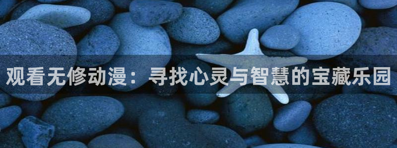 雷欧奥特曼樱花动漫