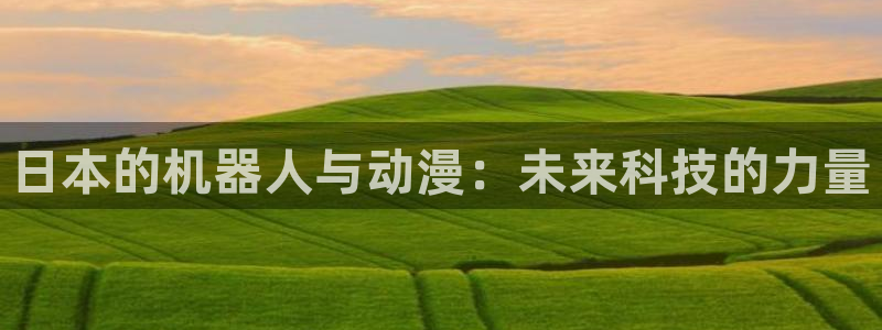 向日葵在夜间绽放樱花动漫