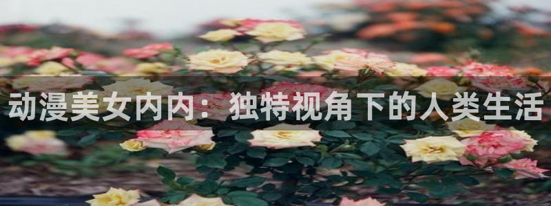 樱花动漫—专注动漫的门户网站