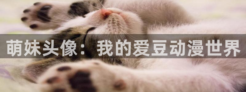 打开网站樱花动漫