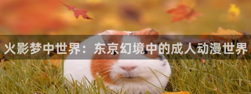 樱花动漫下载苹果版：火影梦中世界：东京幻境中的成人动漫世界