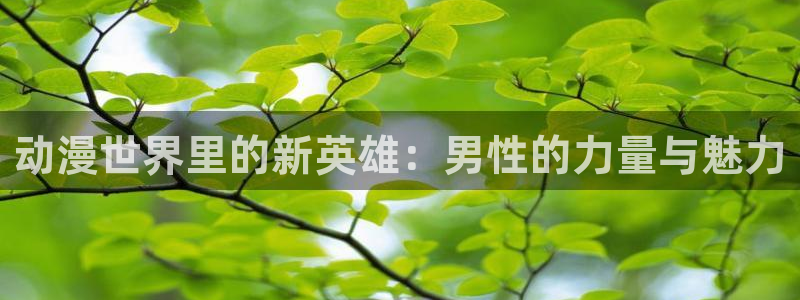 樱花动漫旧版本：动漫世界里的新英雄：男性的力量与魅力