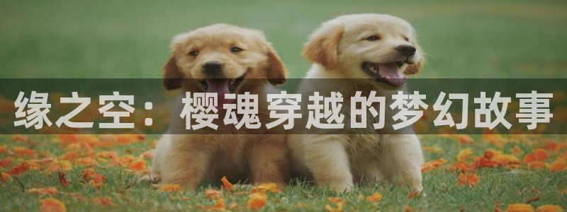 神武天尊樱花动漫
