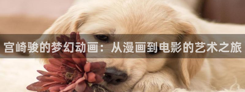 神之塔樱花动漫在线观看