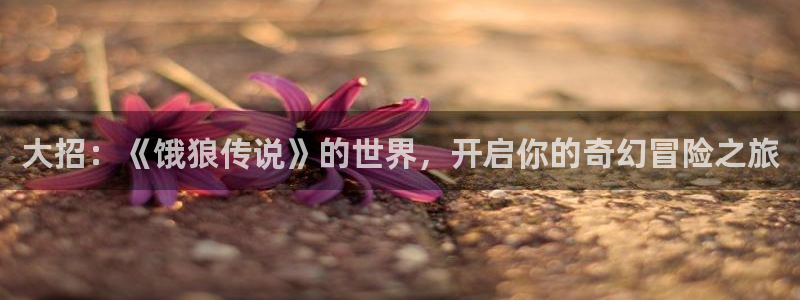 甜蜜樱花动漫