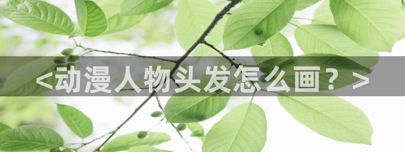 0verflow樱花动漫