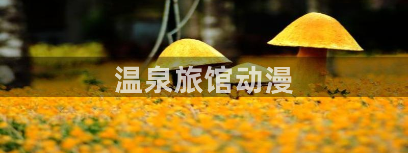 樱花动漫版下载