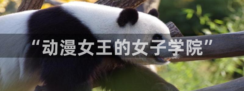 怦然心动樱花动漫