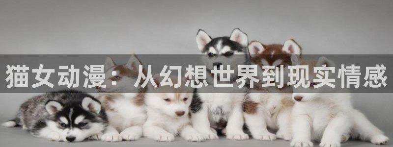 樱花动漫免费版在线观看动漫
