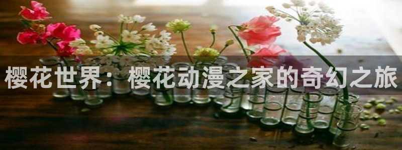 赎罪日樱花动漫免费高清版：樱花世界：樱花动漫之家的奇幻之旅