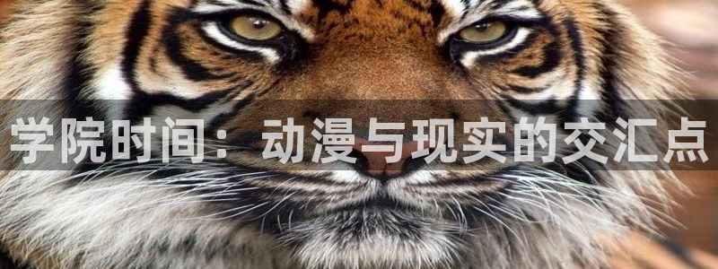 八尺大人在线观看樱花动漫：学院时间：动漫与现实的交汇点
