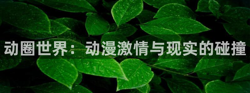埃及猫樱花动漫：动圈世界：动漫激情与现实的碰撞