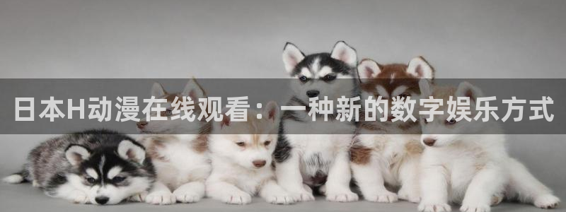 魔王学院的不适合者樱花动漫第二季