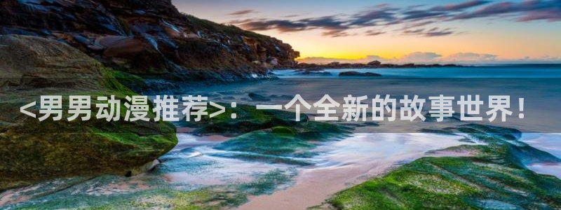 浪漫杀手樱花动漫