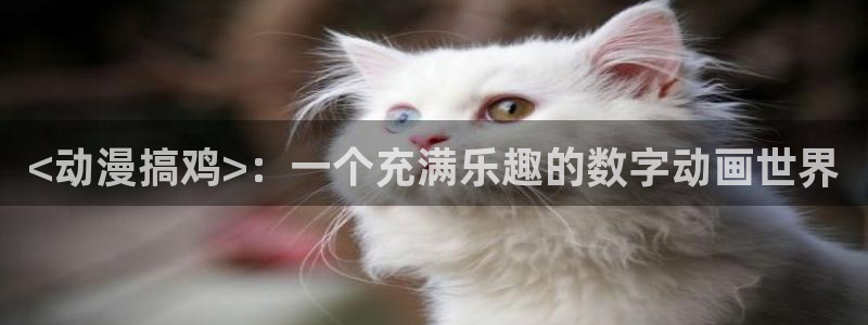 铁姬钢兵动漫樱花动漫