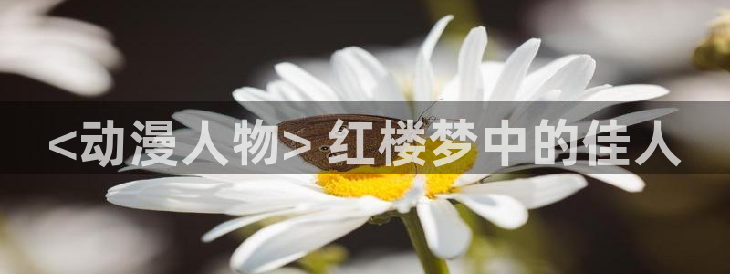 杜鹃的婚约樱花动漫
