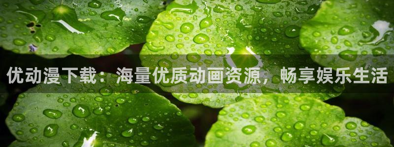 人鱼的旋律国语樱花动漫