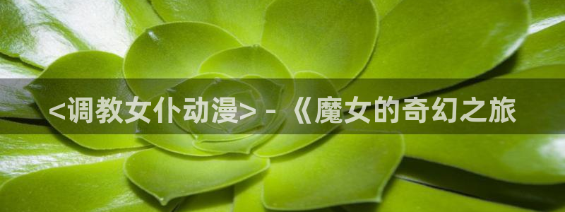 樱花动漫斗罗
