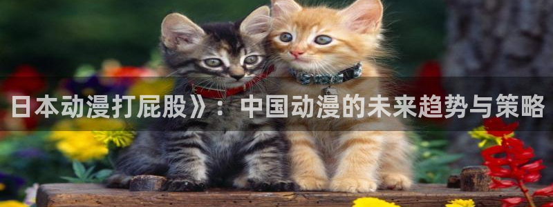 樱花动漫官方入口