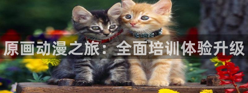 樱花动漫官方网：原画动漫之旅：全面培训体验升级