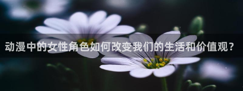 方便的白衣樱花动漫