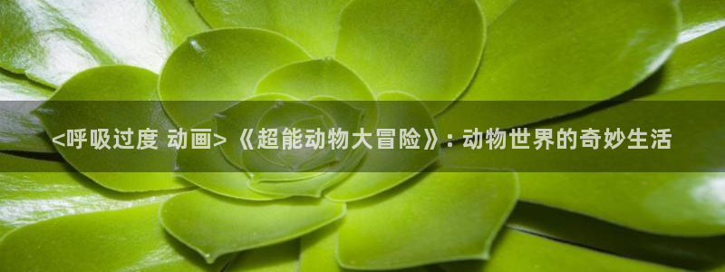 潮与虎樱花动漫