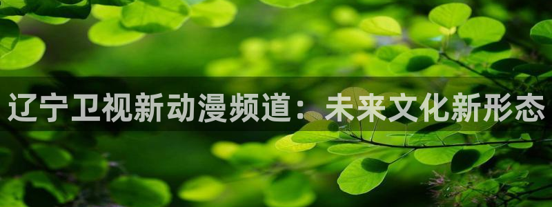 工作细胞第一季樱花动漫：辽宁卫视新动漫频道：未来文化新形态