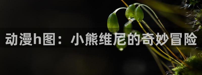樱花动漫9.1免费：动漫h图：小熊维尼的奇妙冒险
