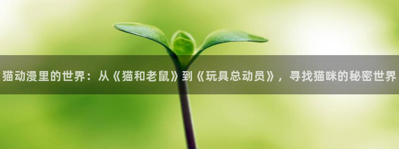 樱花动漫仲夏夜之梦在线观看：猫动漫里的世界：从《猫和老鼠》到《玩具总动员》，寻找猫咪的秘密世界